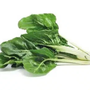 SEM. ACELGA VERDE P/BLANCA (100-GR) LATA