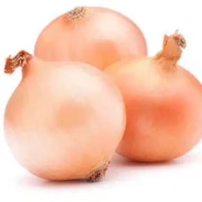 SEM. CEBOLLA VALENCIANA DE ORO (100-GR)