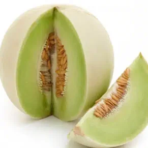 SEM. MELON STD TUNA HONEY D (500-GR) GREEN FLESH MUSIC  5MEF37