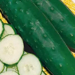 SEM. PEPINO STD MARKETMORE 76 (100-GR)