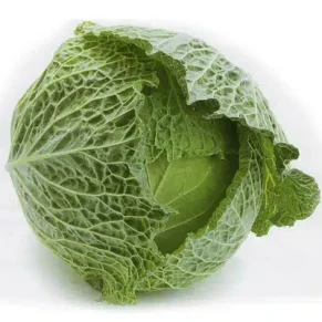 SEM. REPOLLO BLANCO COPENHAGUE (100-GR)  5REC193 MUSIC