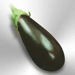 SEM. BERENJENA LARGA VIOLETA (100-GRS)