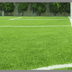 SEM. PRADO ZONA NORTE (500-GR) MUSIC